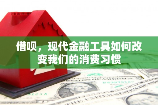 芬园借呗，现代金融工具如何改变我们的消费习惯