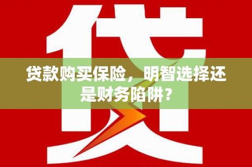 芬园贷款购买保险，明智选择还是财务陷阱？