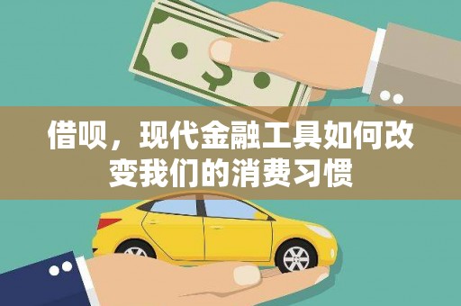 芬园借呗，现代金融工具如何改变我们的消费习惯