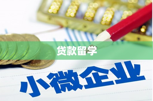芬园贷款留学