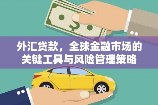 芬园外汇贷款，全球金融市场的关键工具与风险管理策略