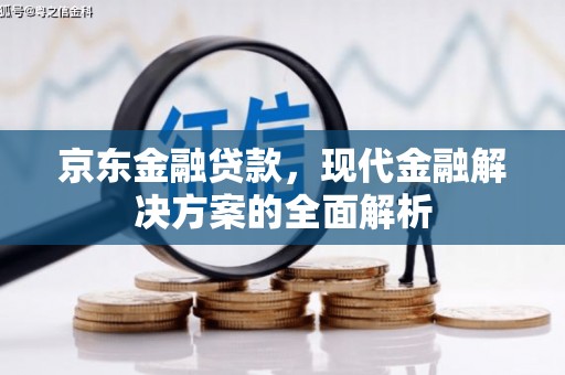 芬园京东金融贷款，现代金融解决方案的全面解析