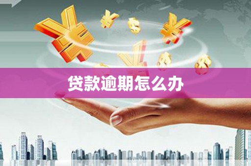 芬园贷款逾期怎么办