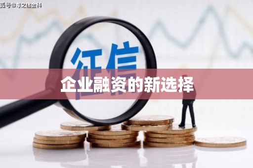 芬园企业融资的新选择