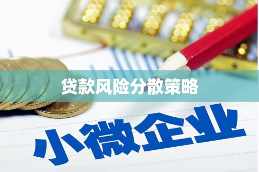 芬园贷款风险分散策略