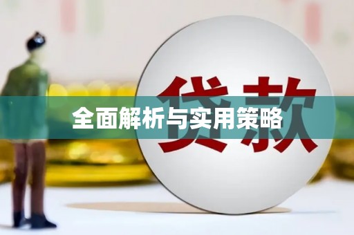 芬园全面解析与实用策略
