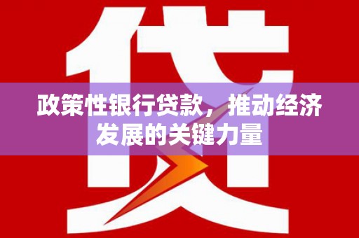 芬园政策性银行贷款，推动经济发展的关键力量