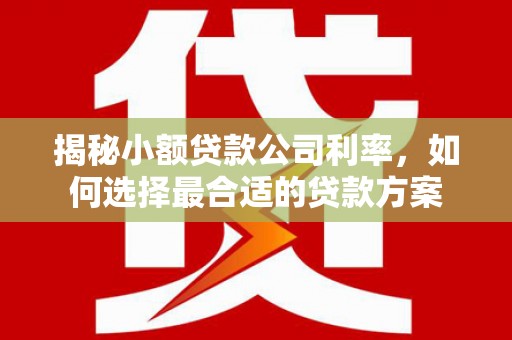 芬园揭秘小额贷款公司利率，如何选择最合适的贷款方案