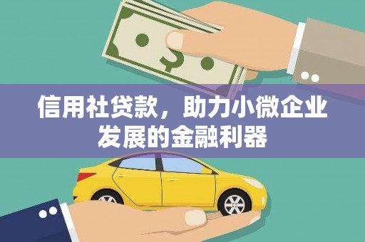 芬园信用社贷款，助力小微企业发展的金融利器