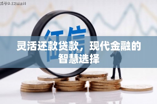 芬园灵活还款贷款，现代金融的智慧选择
