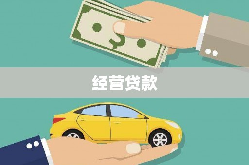 芬园经营贷款