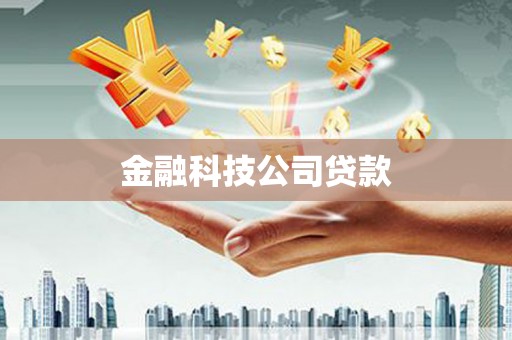 芬园金融科技公司贷款
