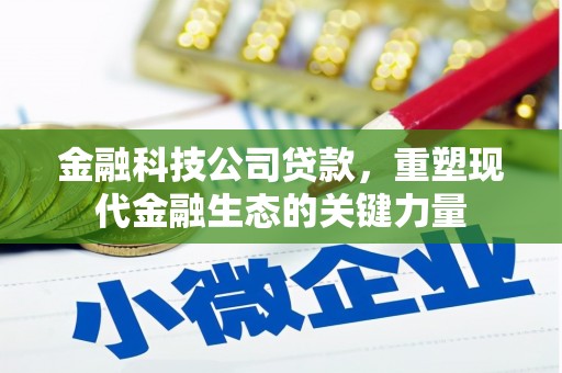 芬园金融科技公司贷款，重塑现代金融生态的关键力量