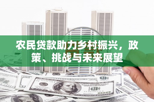 芬园农民贷款助力乡村振兴，政策、挑战与未来展望