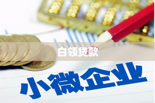 芬园白领贷款
