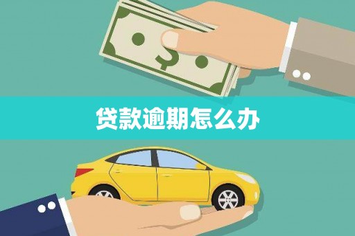 芬园贷款逾期怎么办