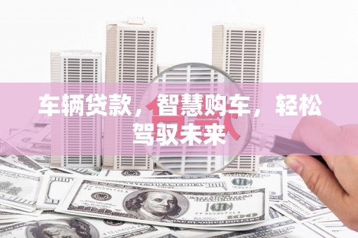 芬园车辆贷款，智慧购车，轻松驾驭未来