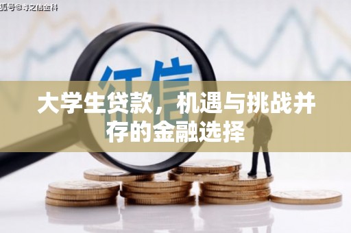 芬园大学生贷款，机遇与挑战并存的金融选择