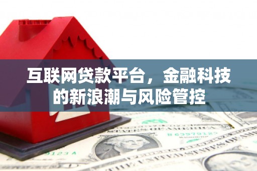 芬园互联网贷款平台，金融科技的新浪潮与风险管控