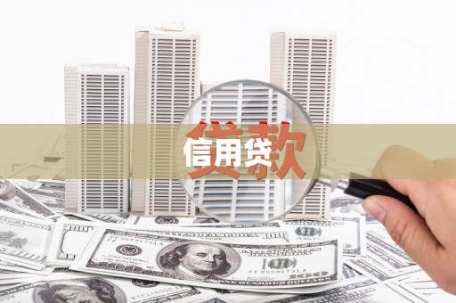 芬园信用贷