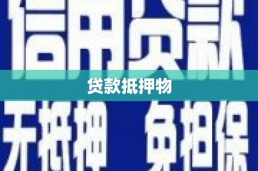 芬园贷款抵押物