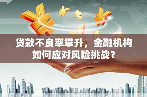 芬园贷款不良率攀升，金融机构如何应对风险挑战？