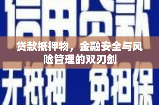 芬园贷款抵押物，金融安全与风险管理的双刃剑
