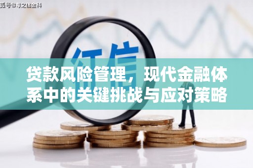 芬园贷款风险管理，现代金融体系中的关键挑战与应对策略