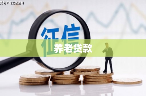 芬园养老贷款