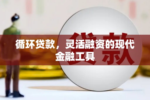 芬园循环贷款，灵活融资的现代金融工具