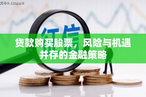 芬园贷款购买股票，风险与机遇并存的金融策略