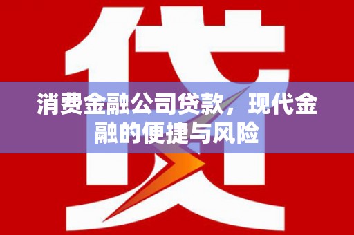 芬园消费金融公司贷款，现代金融的便捷与风险