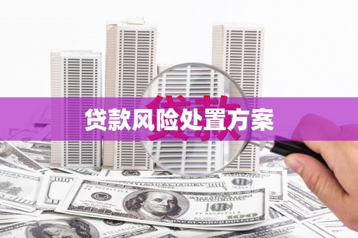 芬园贷款风险处置方案