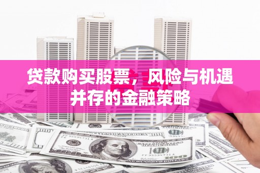 芬园贷款购买股票，风险与机遇并存的金融策略
