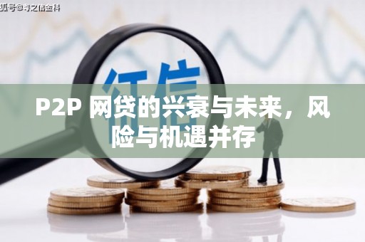 芬园P2P 网贷的兴衰与未来，风险与机遇并存