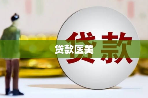 芬园贷款医美