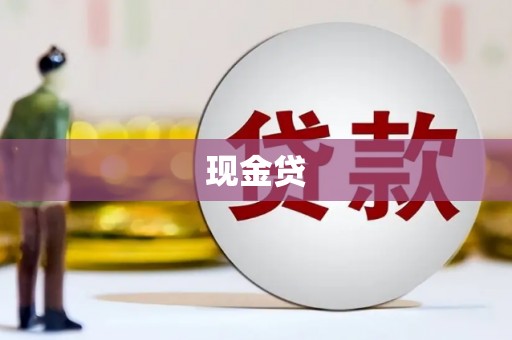 芬园现金贷