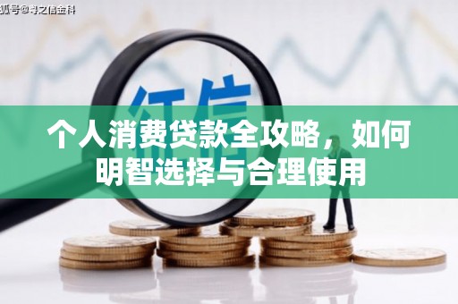 芬园个人消费贷款全攻略，如何明智选择与合理使用