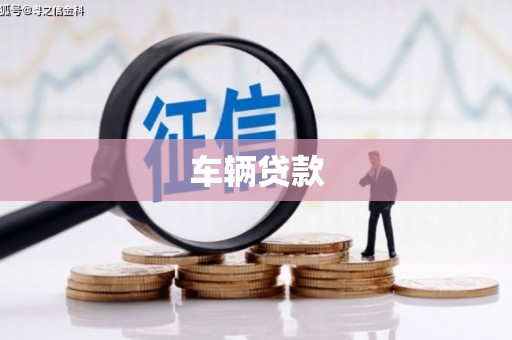 芬园车辆贷款