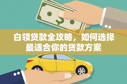 芬园白领贷款全攻略，如何选择最适合你的贷款方案