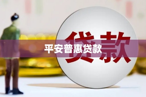 芬园平安普惠贷款